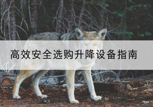 上蔡升降货梯厂家推荐-*安全选购升降设备指南