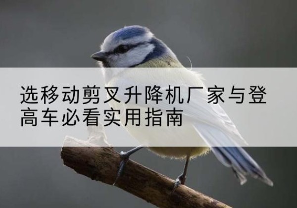 上蔡电动升降机厂家-选移动剪叉升降机厂家与登高车必看实用指南