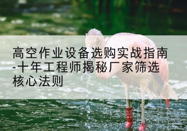 上蔡剪叉式升降机厂家-高空作业设备选购实战指南-十年工程师揭秘厂家筛选核心法则